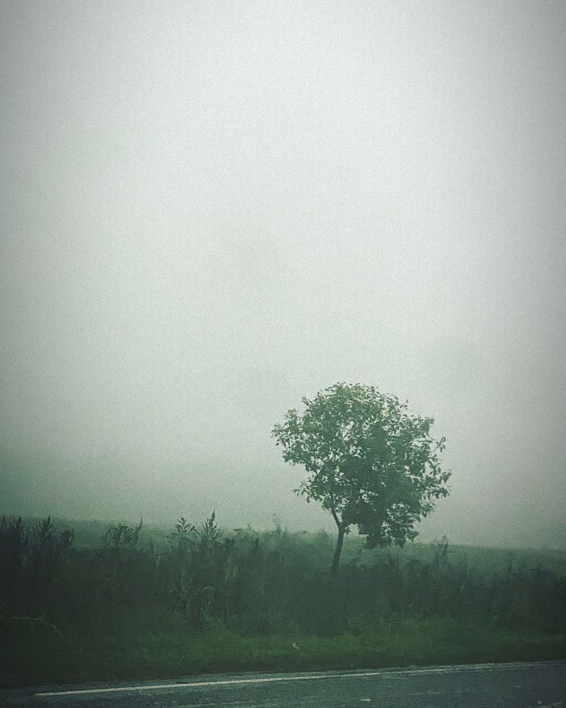 Photograph by Ольга Галкина