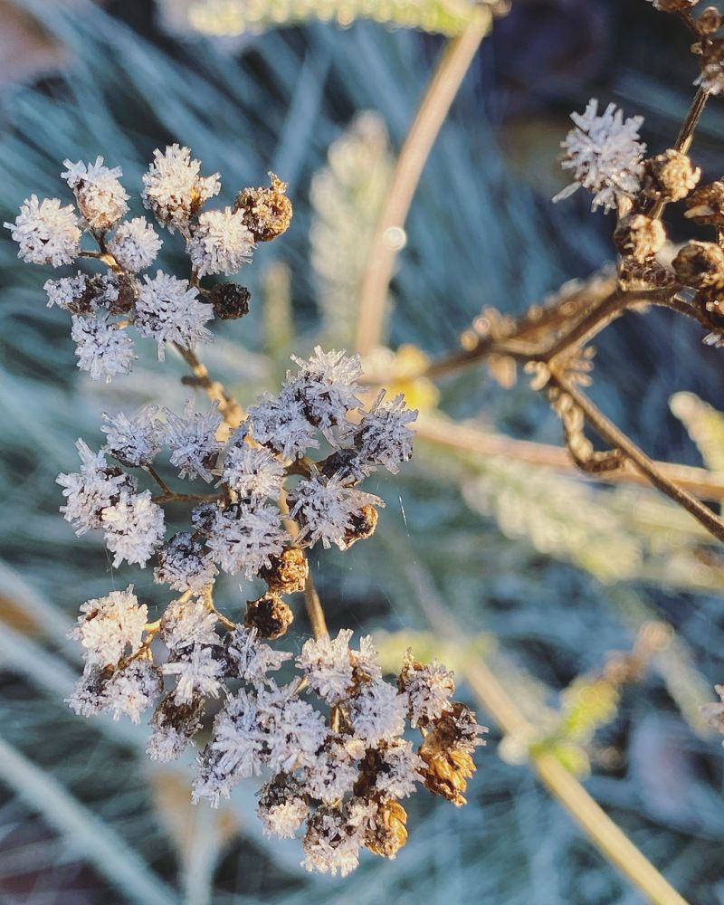 Photograph by Ольга Галкина
