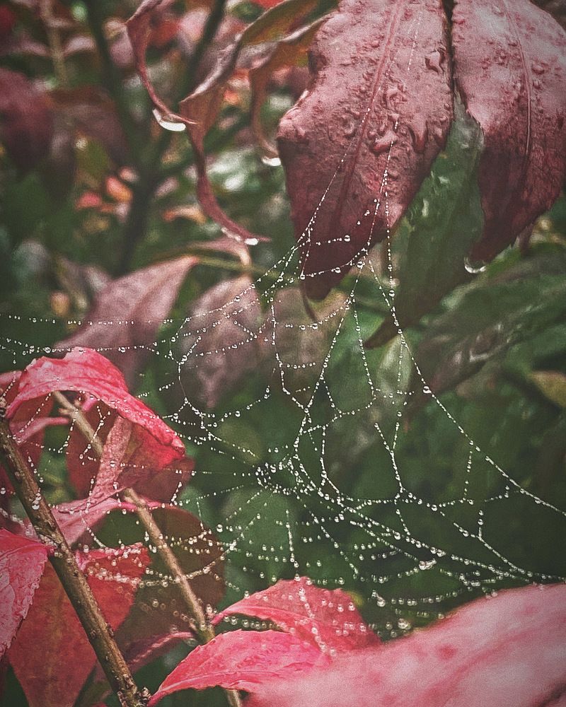 Photograph by Ольга Галкина