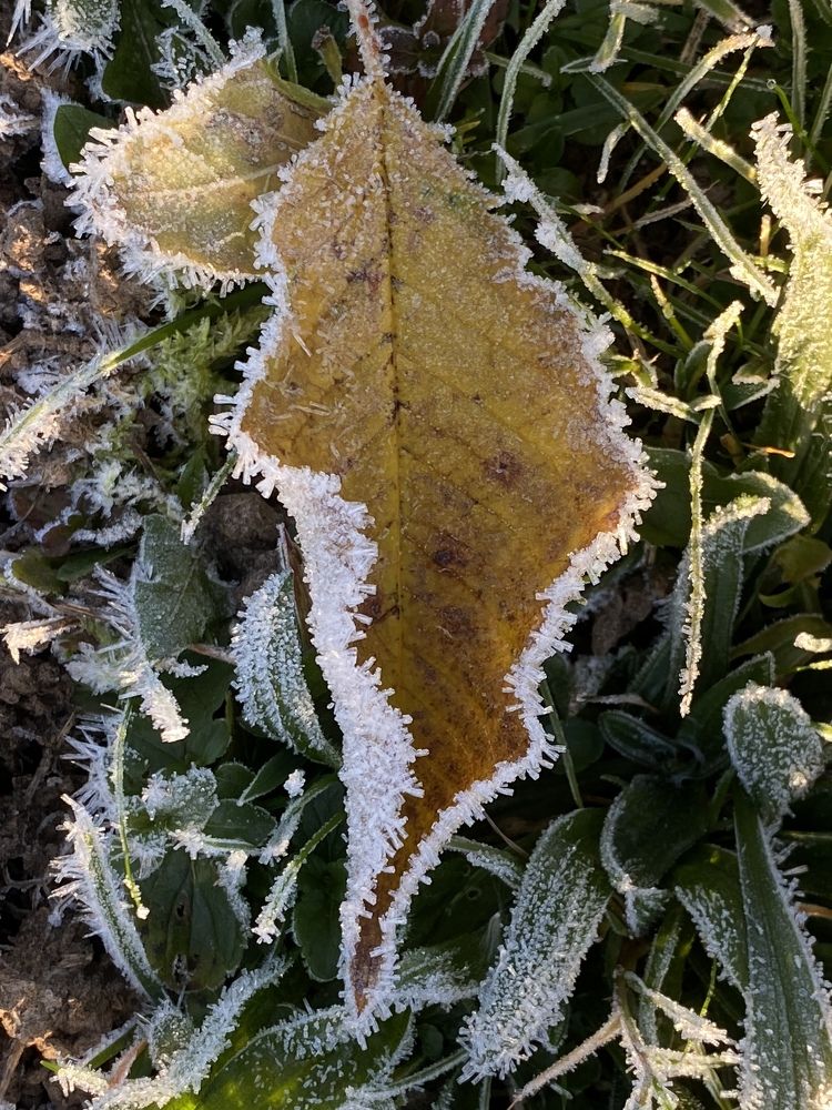 Photograph by Ольга Галкина