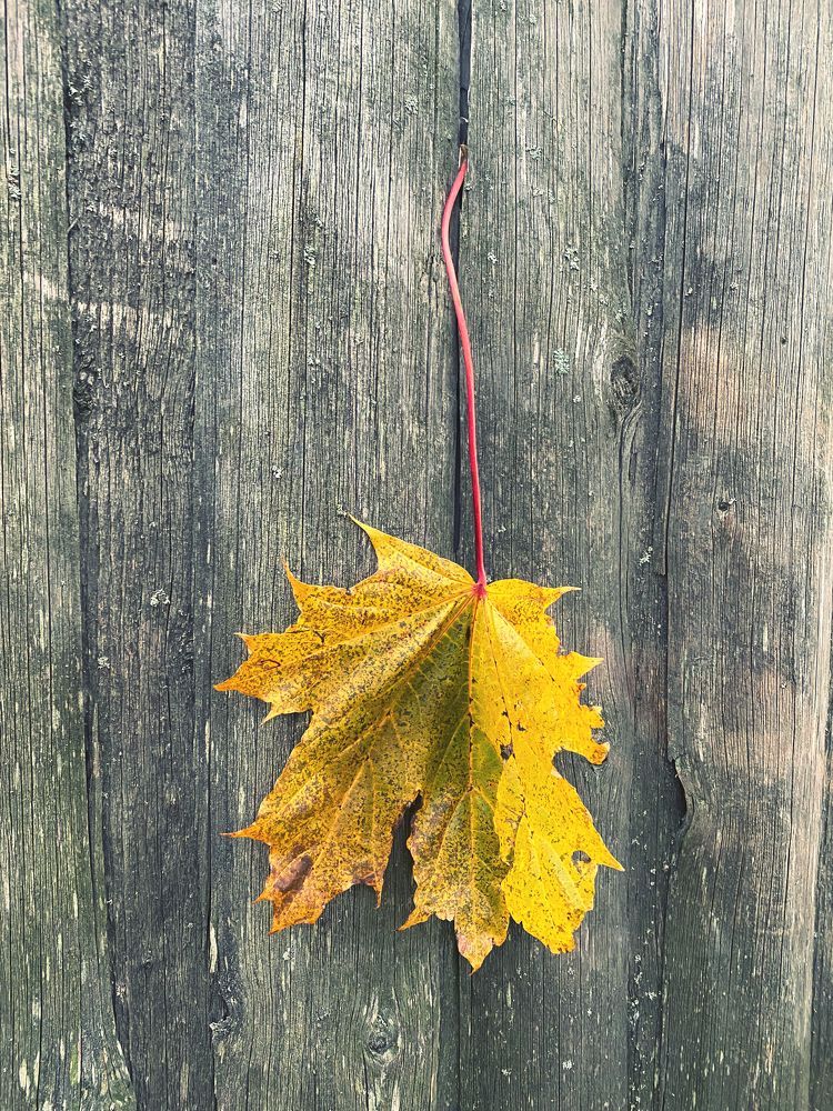 Photograph by Ольга Галкина