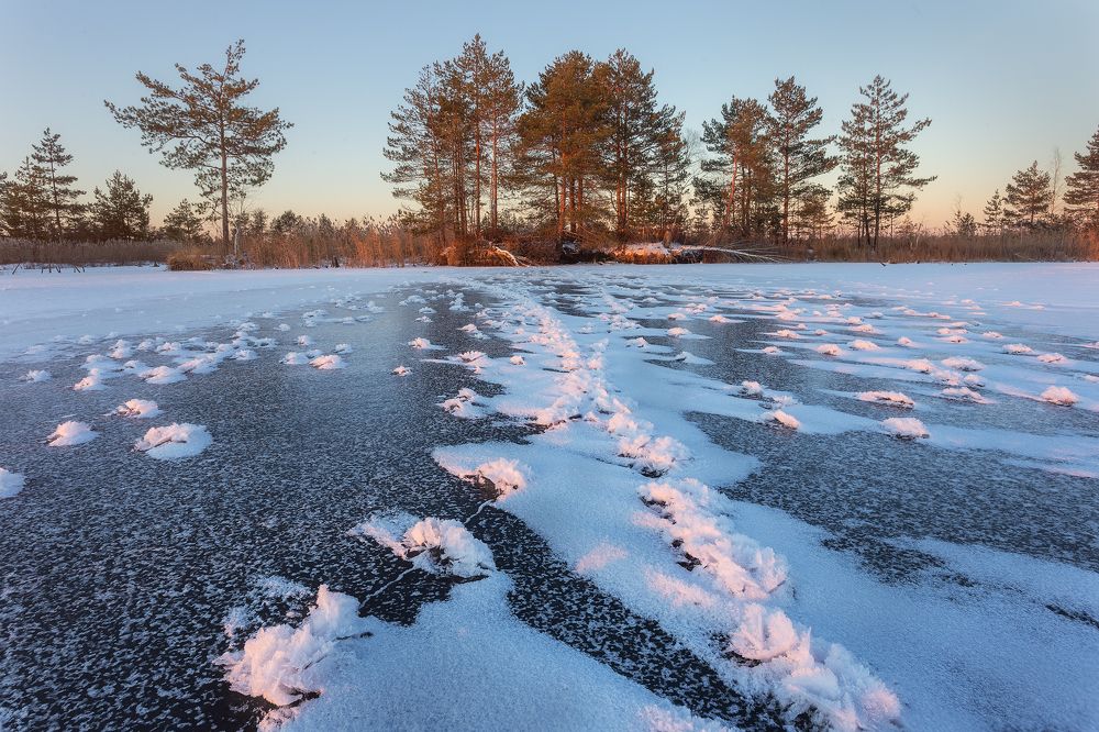 Ледяные розетки. На закате.