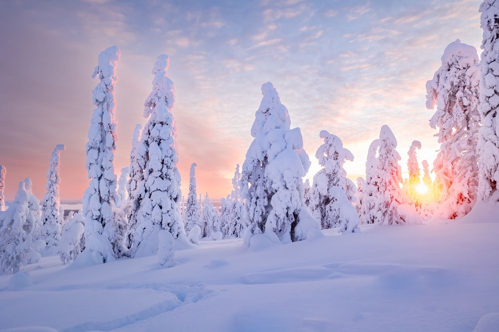 Photograph by Артём Бабенов