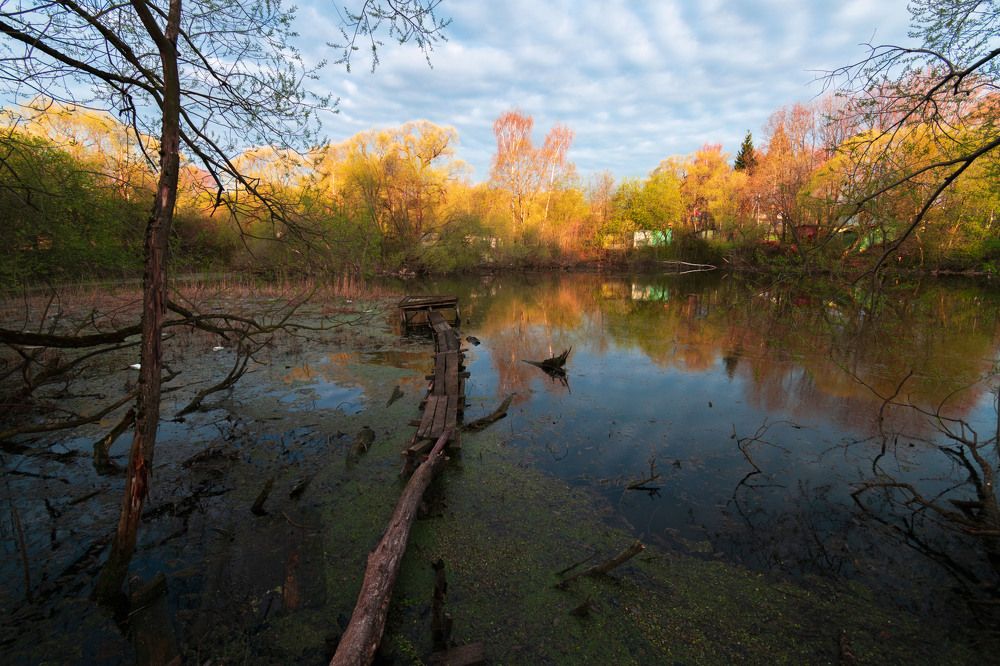 Photograph by Юрьев Борис