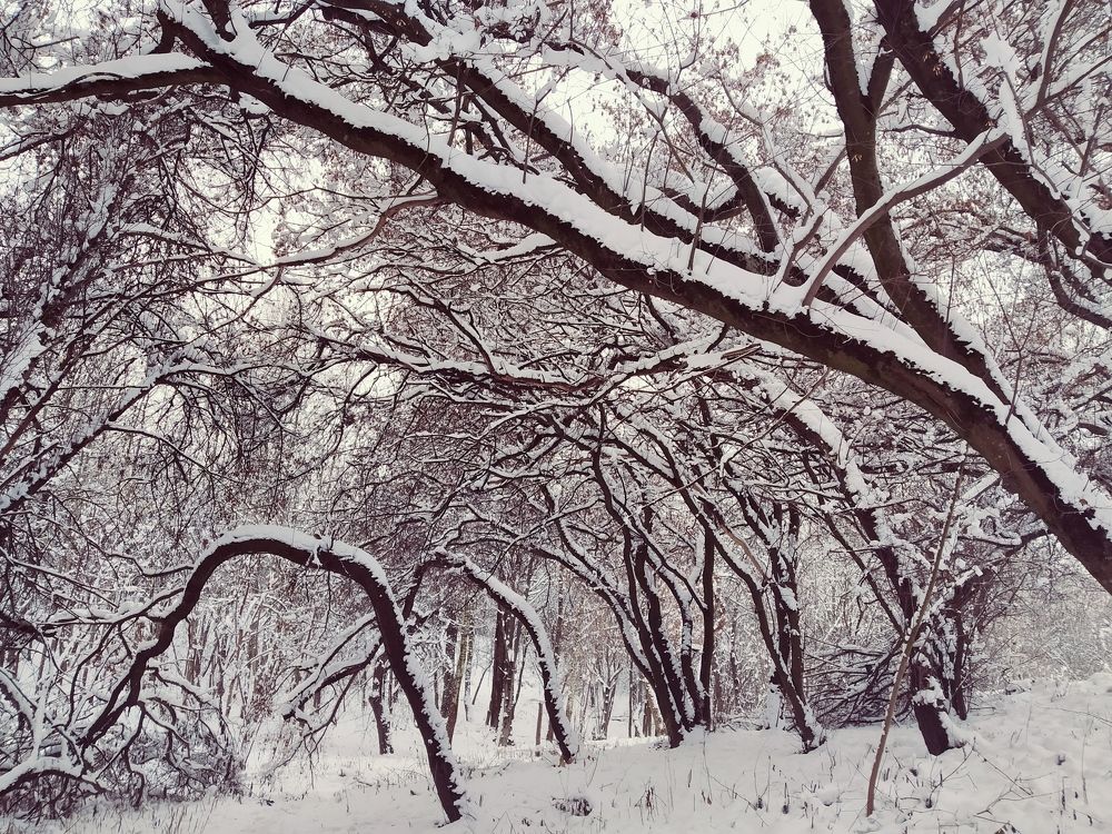 Photograph by Владимир Воложинский