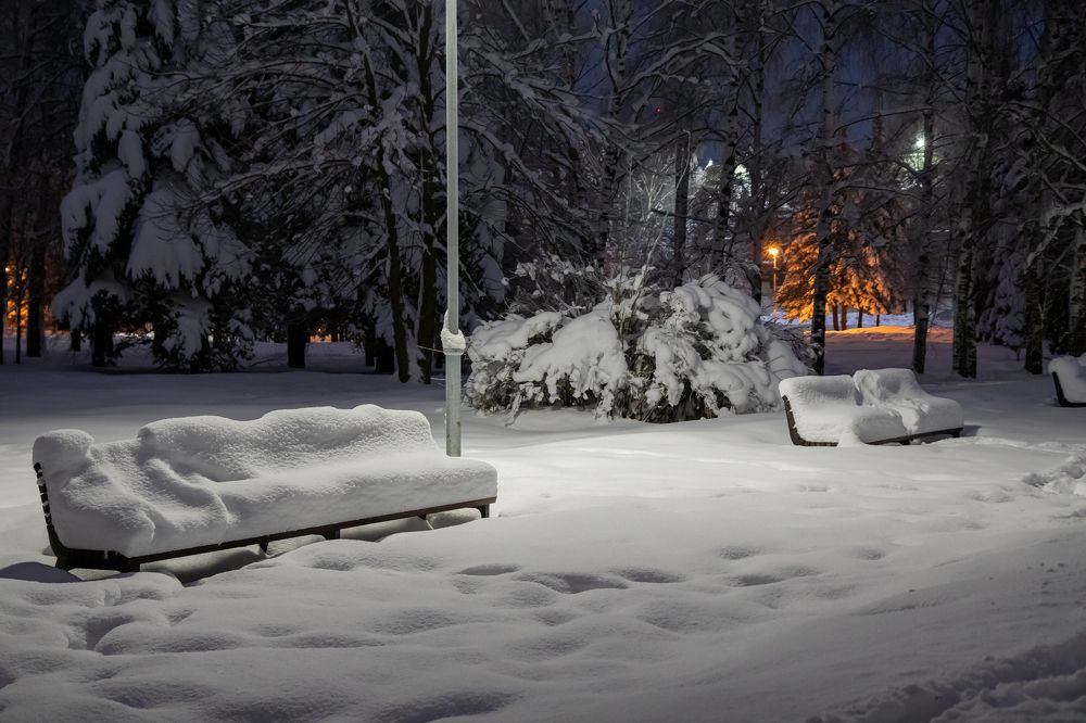 Photograph by Светлана Тараканова