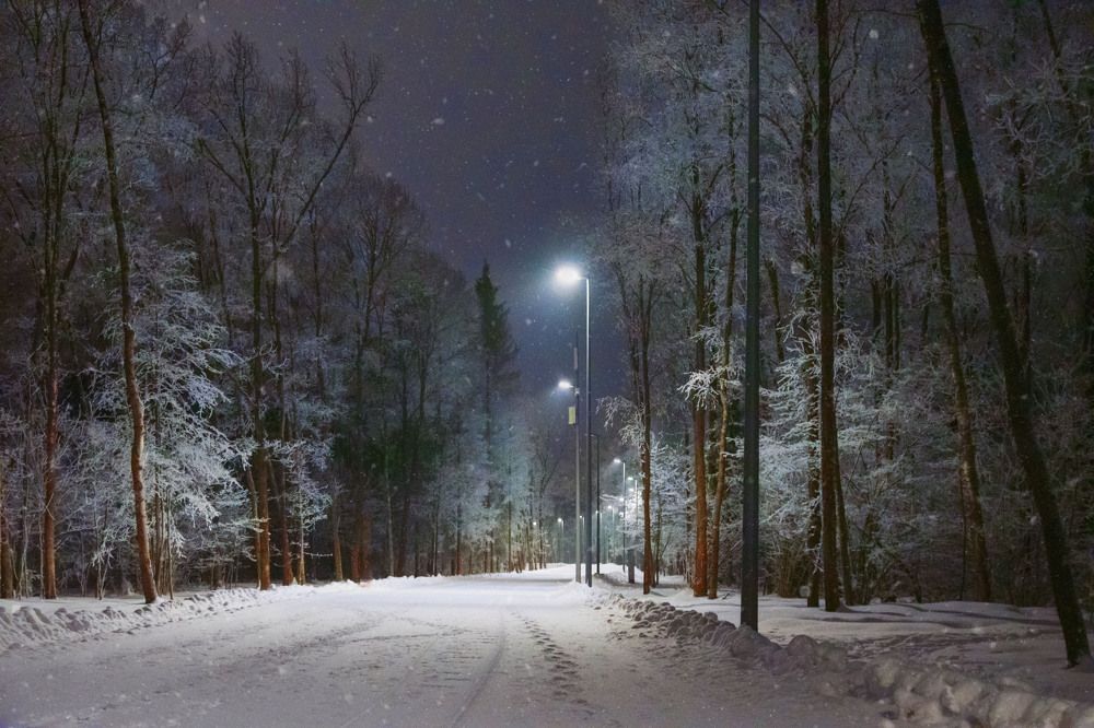 Photograph by Юрьев Борис