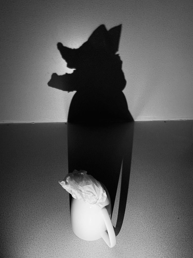 Photograph by Елена Макуха