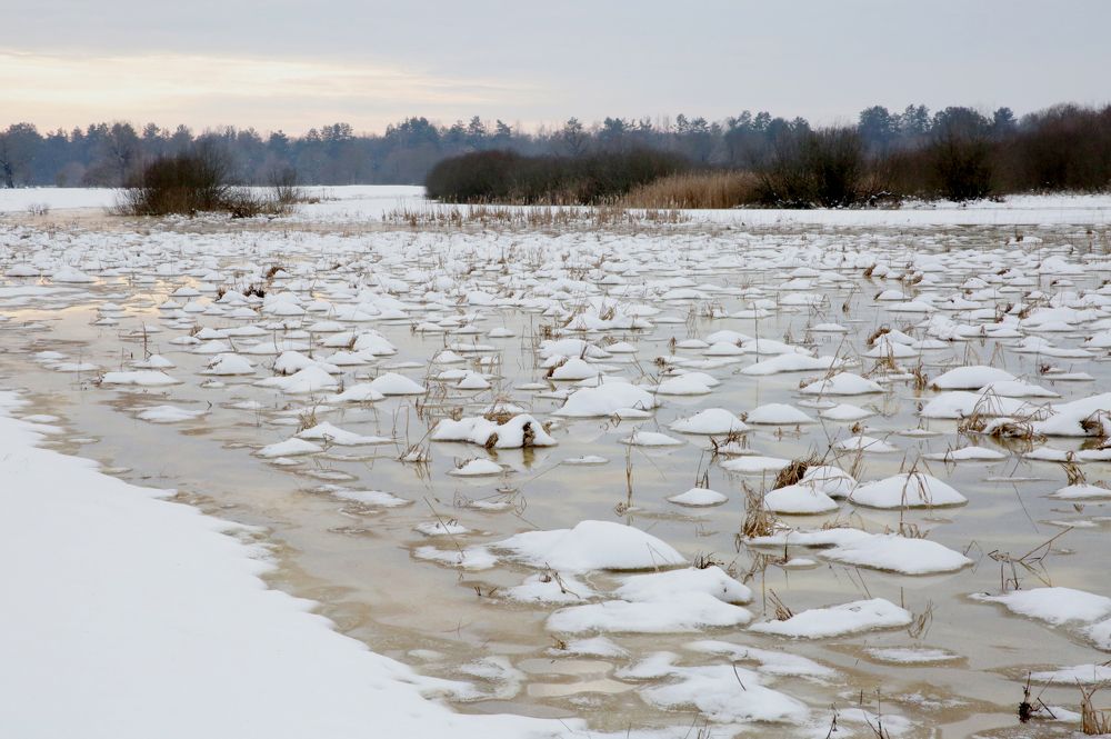 Фотография автора Николай Семенец