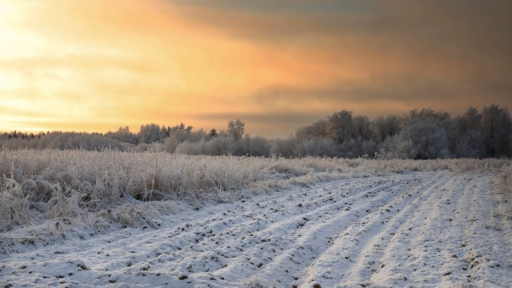 Photograph by Титов Александр