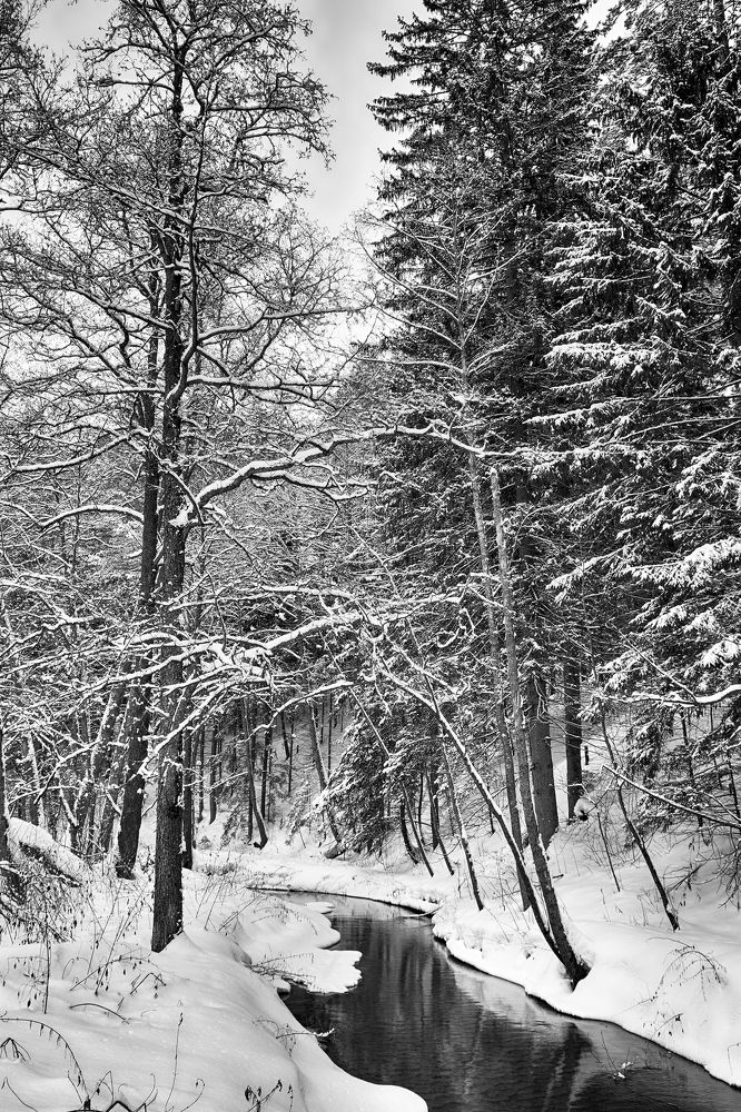 Photograph by Александр Переволоцкий