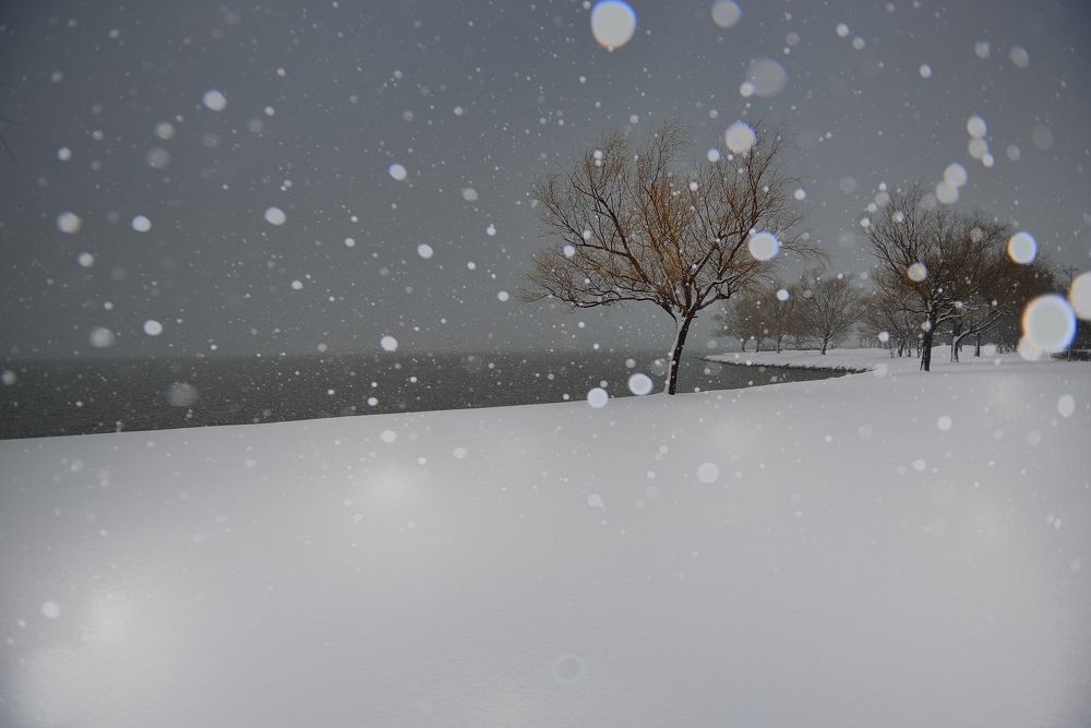 Photograph by Ohta Sigeki