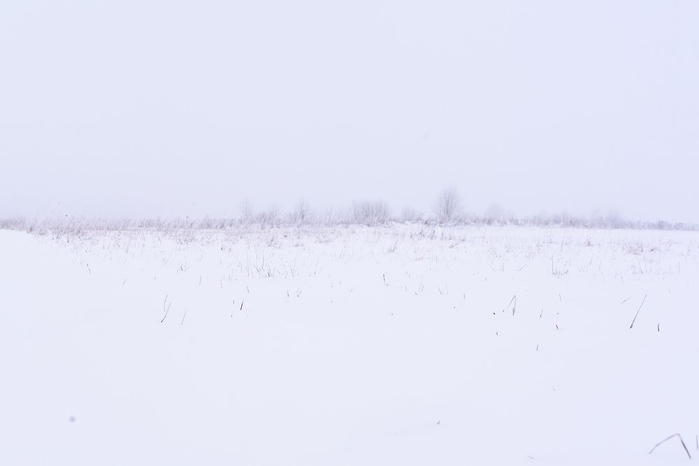 Photograph by Юрий Тарасов