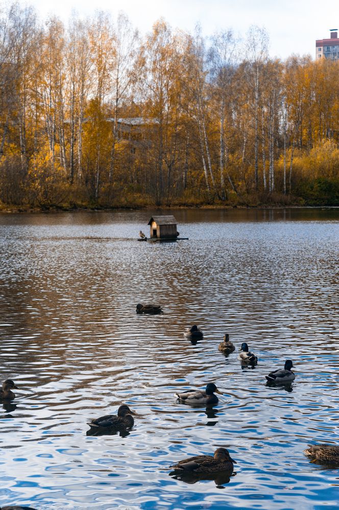 Photograph by Светлана Нестерова