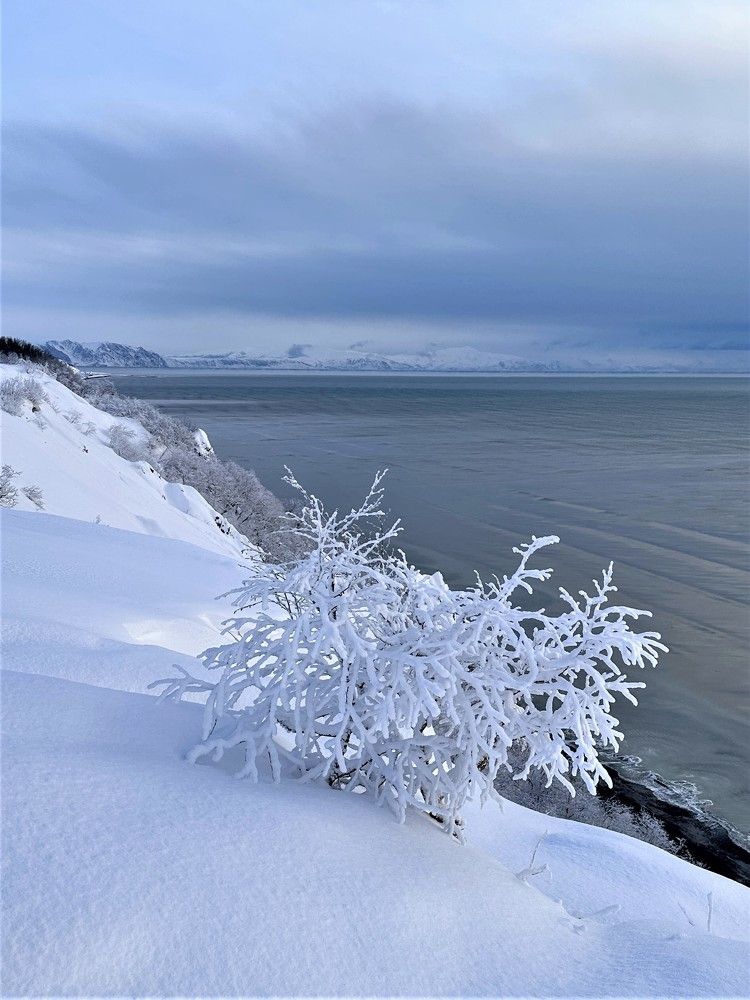 Photograph by Евгения Казакова