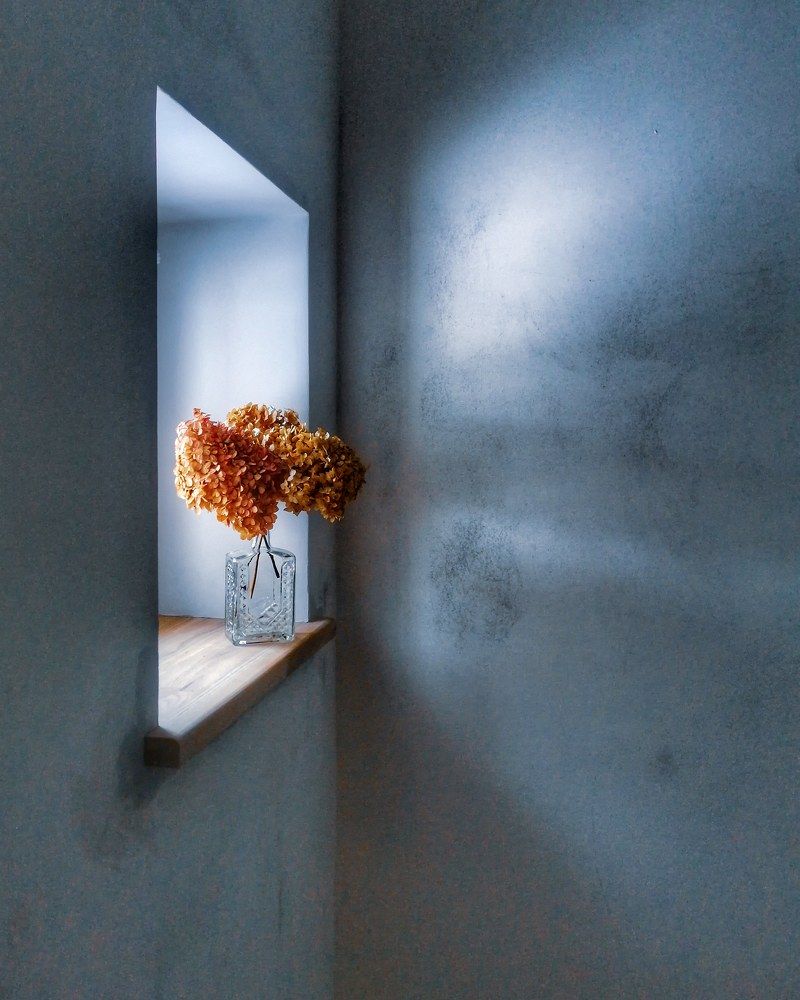 Photograph by Алина Олесик
