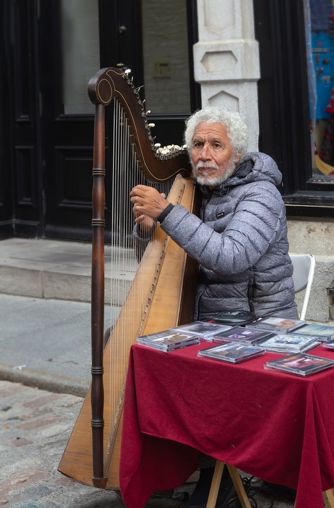 Man playing Harp.