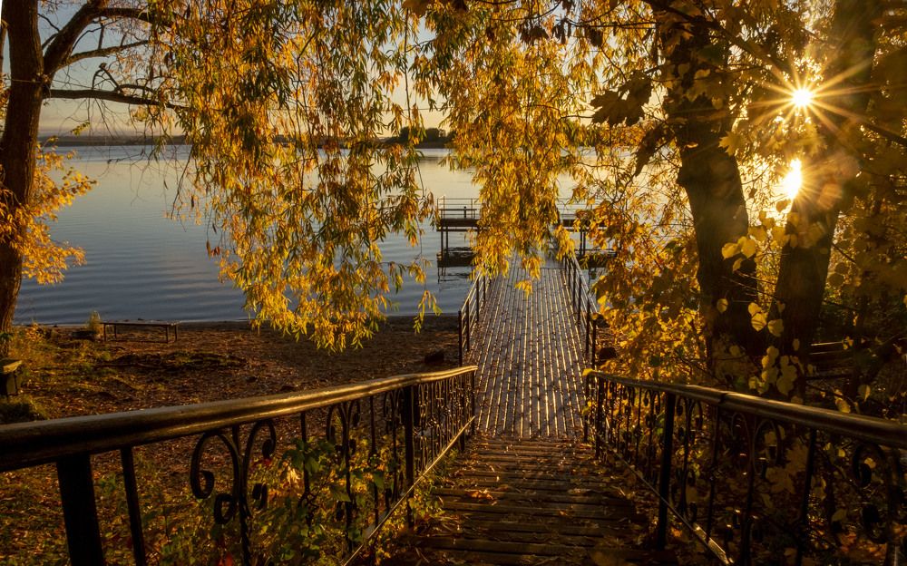 Photograph by Елена Маракулина