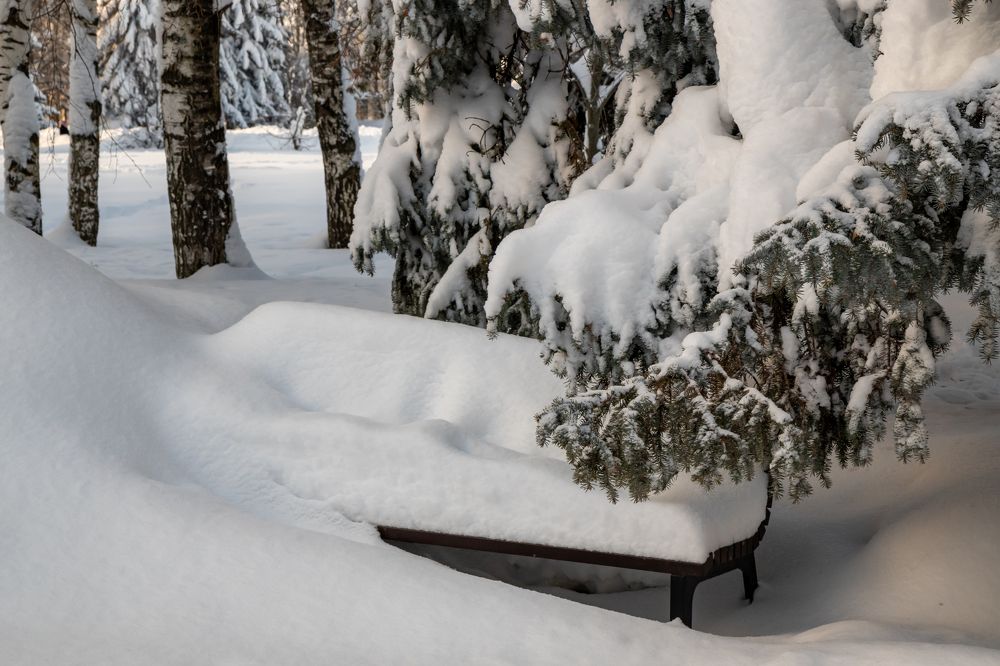 Photograph by Светлана Тараканова