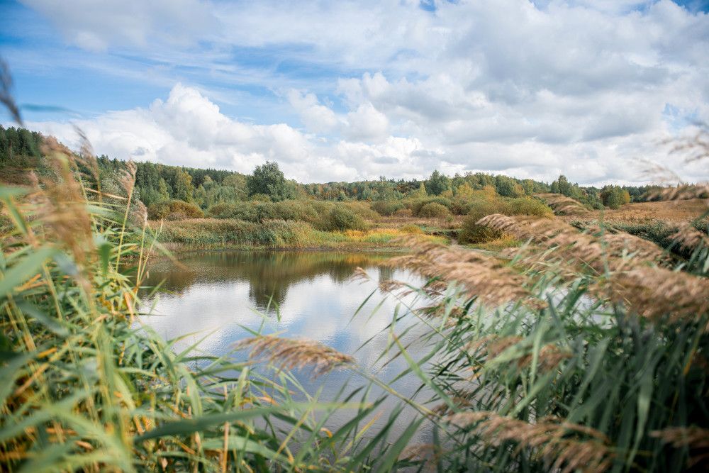 Photograph by Ирина Савенко