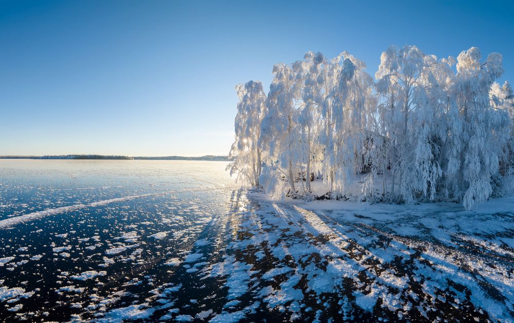 Photograph by Алексей Фрилунд