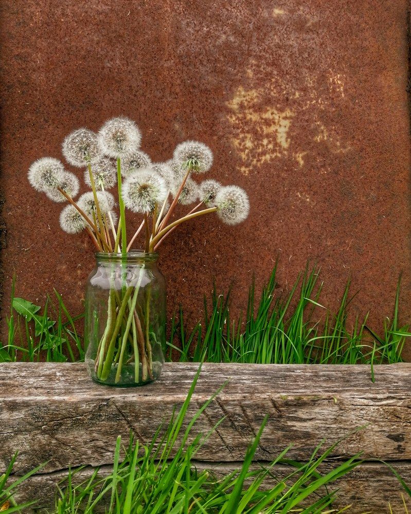Photograph by Алина Олесик