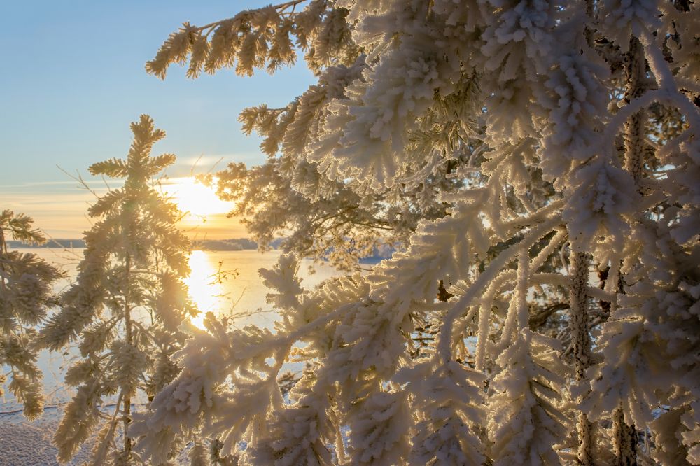 Photograph by Алексей Фрилунд