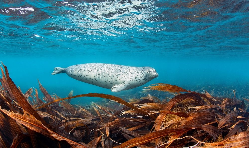 Фотография автора Нарчук Андрей