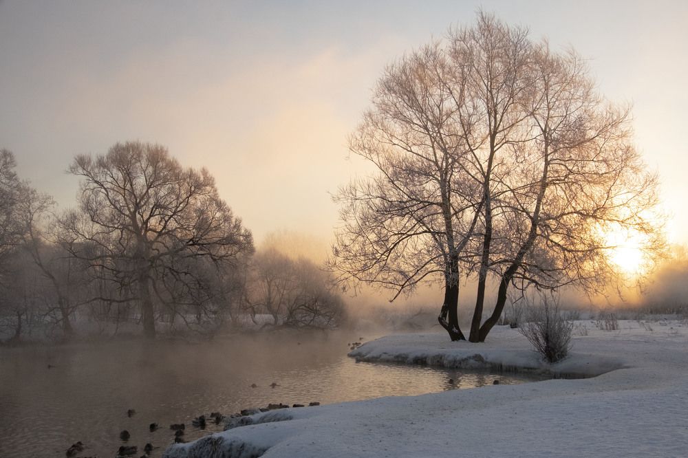 Морозное утро на Сходне