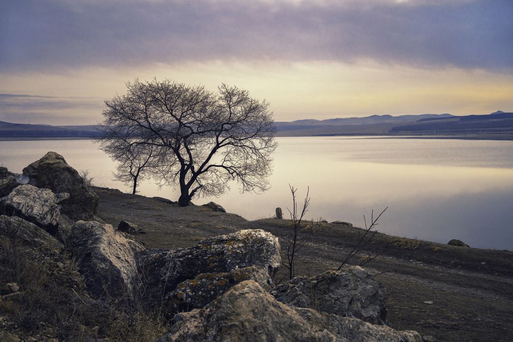 Photograph by Николай Привалов