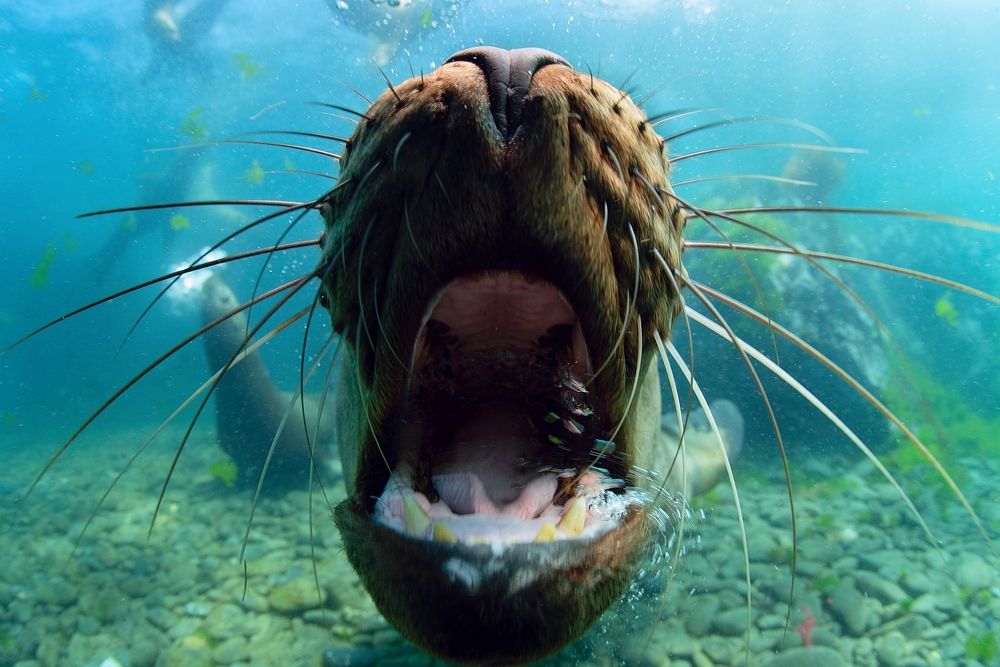 Фотография автора Нарчук Андрей