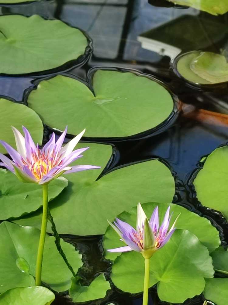 Photograph by Анастасия Никитина