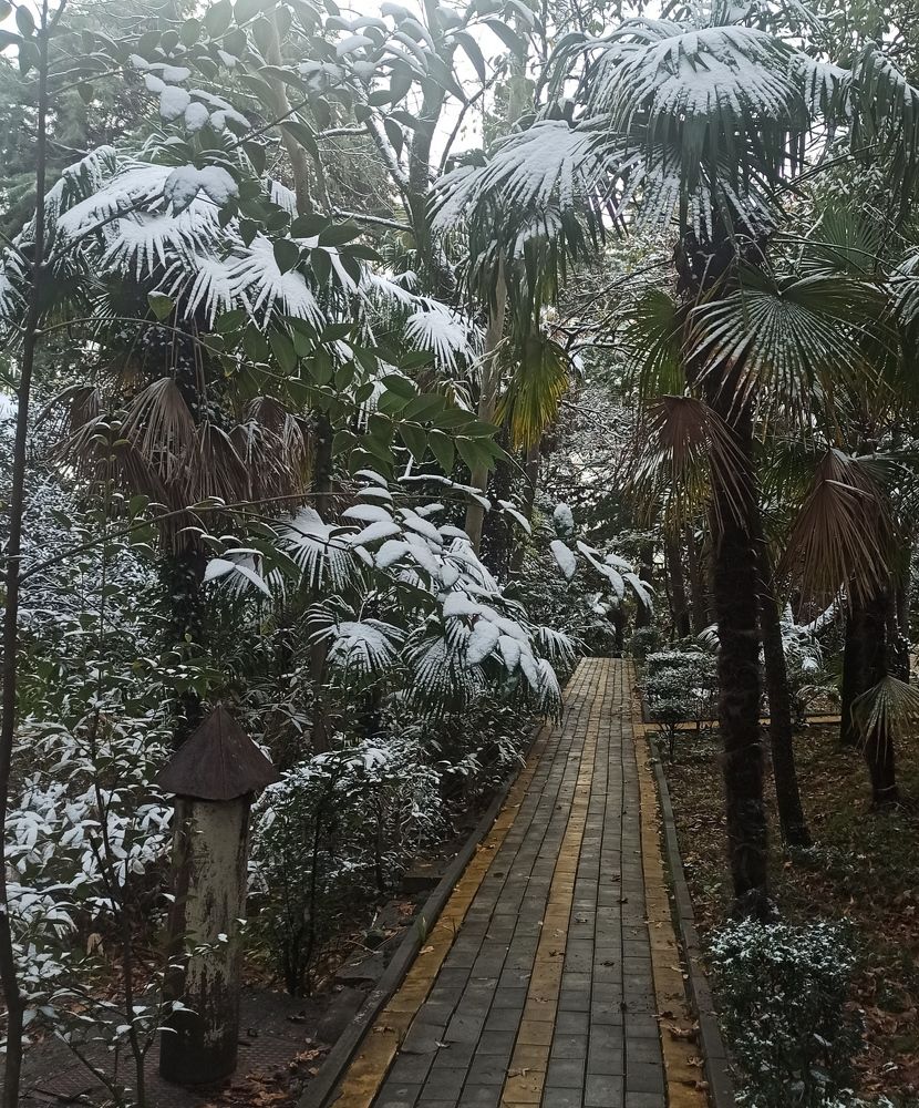 Photograph by Ольга Тихонова