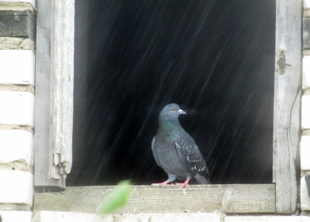 Photograph by Татьяна Смирнова