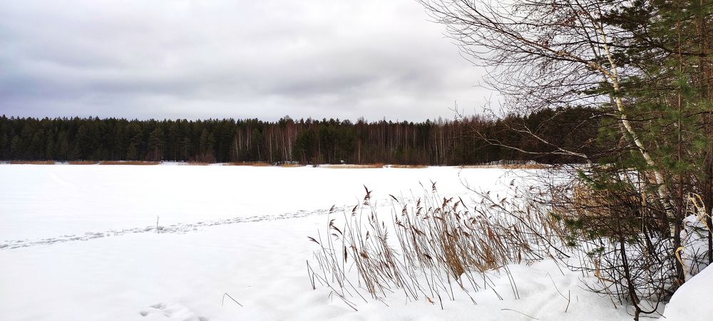 Photograph by Наталья Калюнова