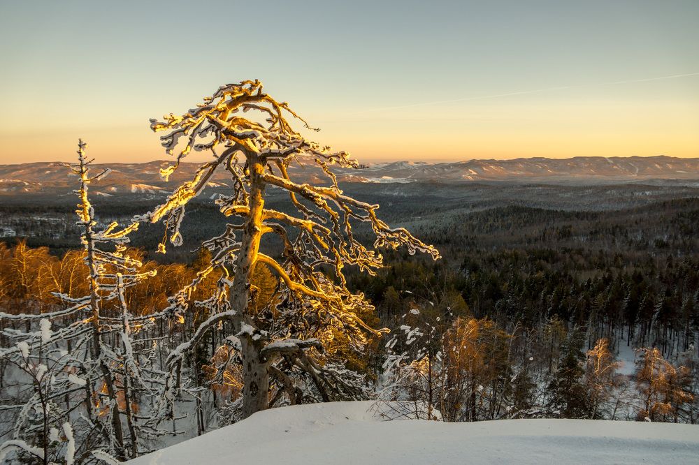Фотография автора Михаил Кузнецов