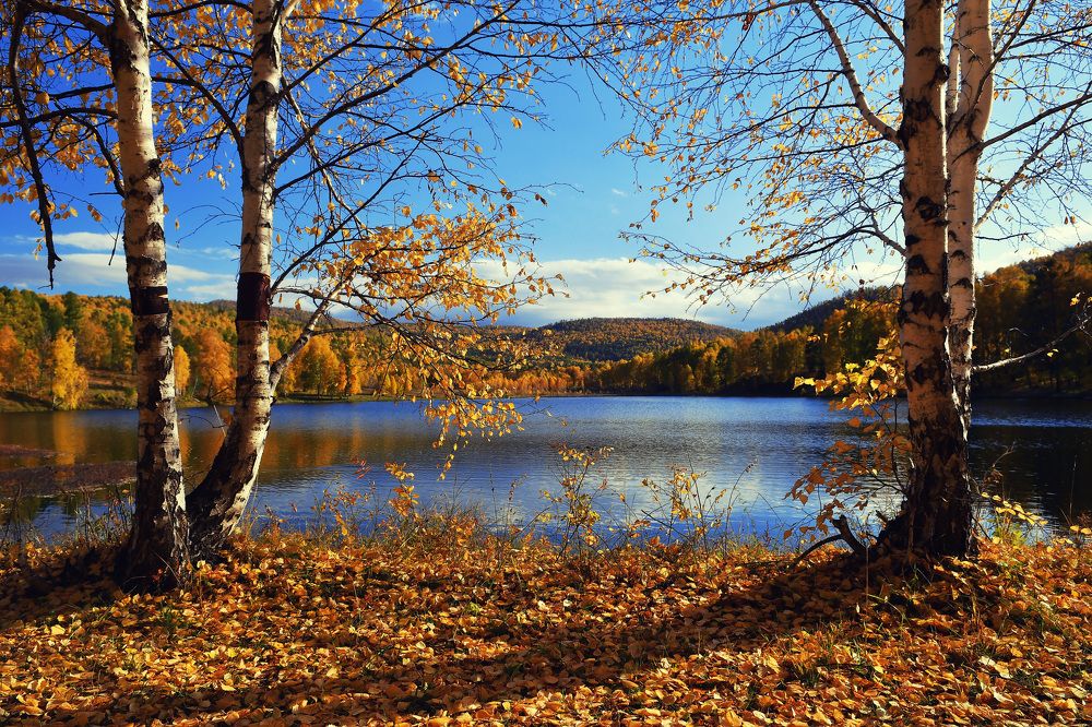 Photograph by Николай Привалов