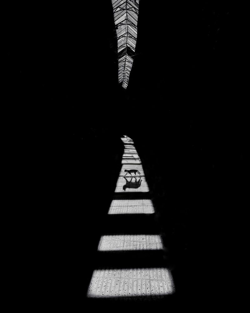 Photograph by Mojtaba Gitinezhad