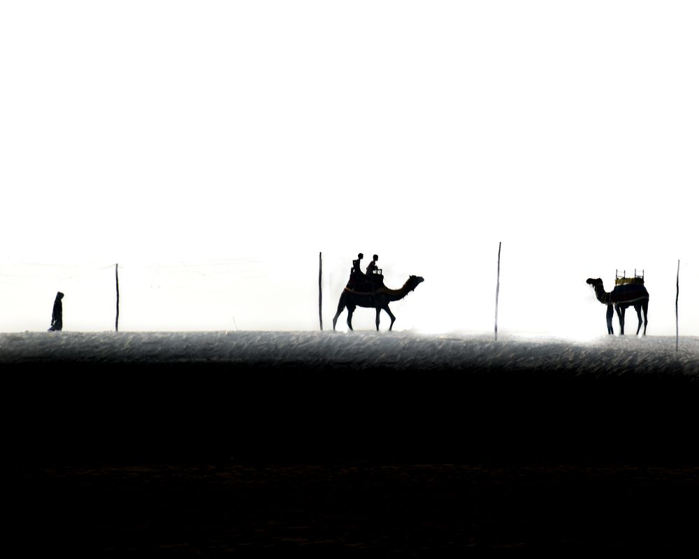 Photograph by Shubham Kumar Gupta