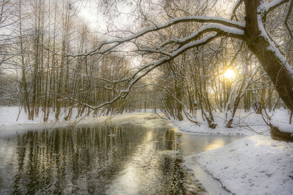 Photograph by Елена Пасажицкая