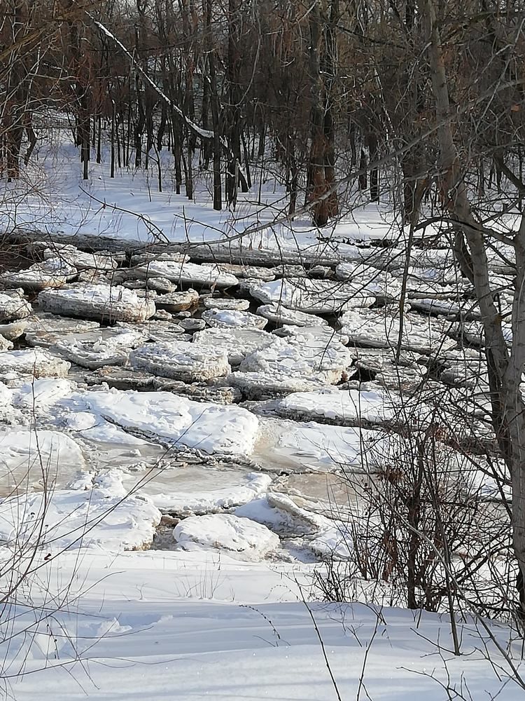 Photograph by Наталья Воронина