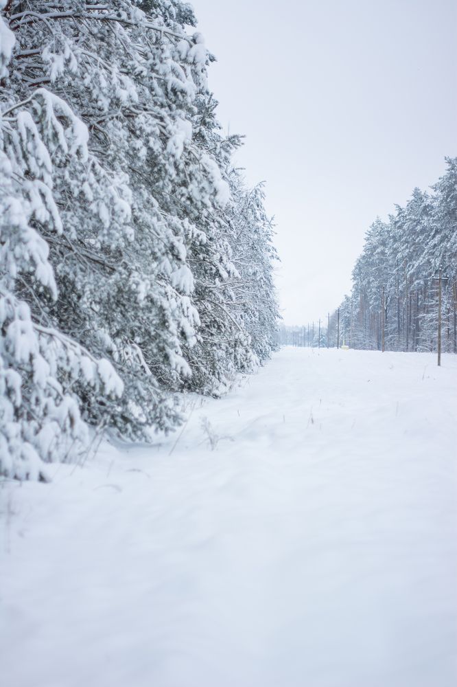 Фотография автора Екатерина Тельпук