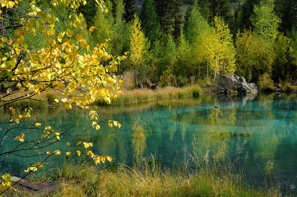 Photograph by Василий Снигирь