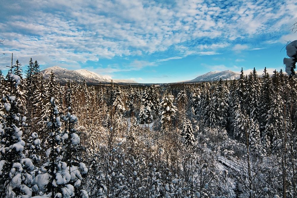 Photograph by ANTON KLYUSHIN