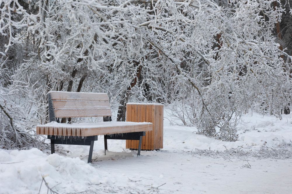 Photograph by Татьяна Царева