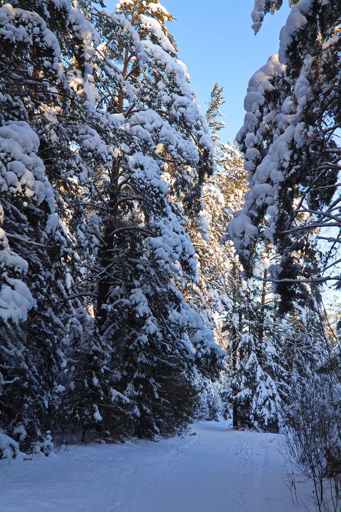 Photograph by ANTON KLYUSHIN