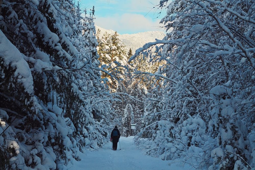 Photograph by ANTON KLYUSHIN