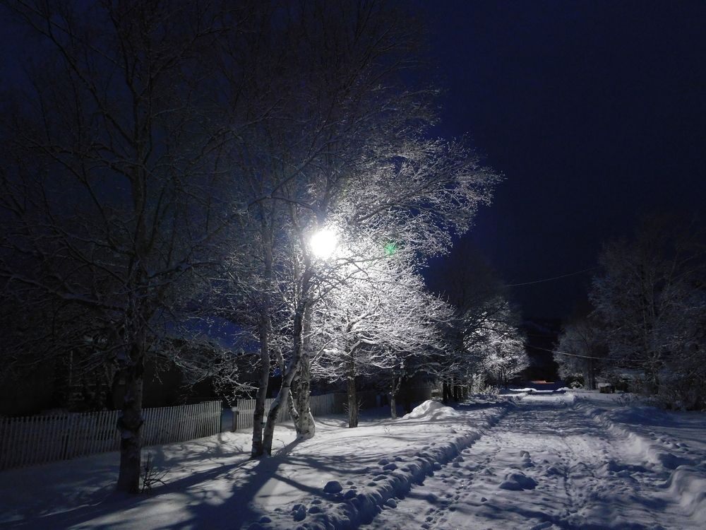 Photograph by Алексей Исаченко