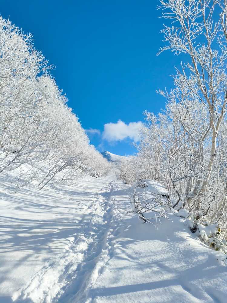 Photograph by Надежда Донская