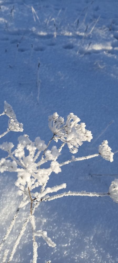 Photograph by Полина Денисова